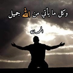 ابو رقيه مصطفى محمود خميس