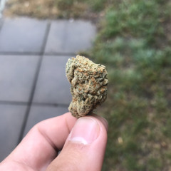 Vavi99