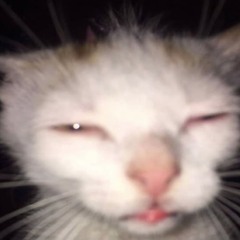 marmalade