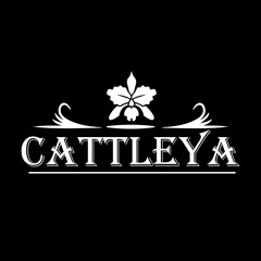 CATTLEYA