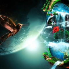 Electronic Dimension