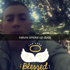 dewood