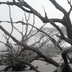 nytharwyn wynvarthorius