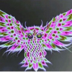 The Night Owls of Chicago