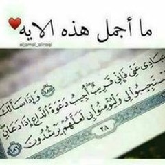 Hend Lotfy
