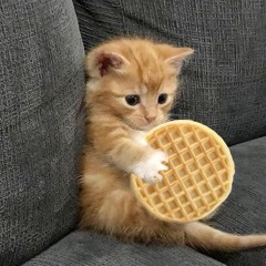 傻子
