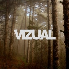 VIZUAL