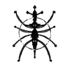 Panser tarentelle (zôl)