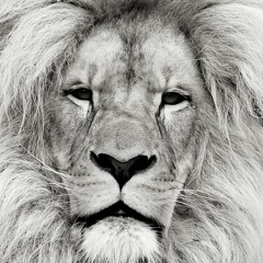 MatLION Motivation