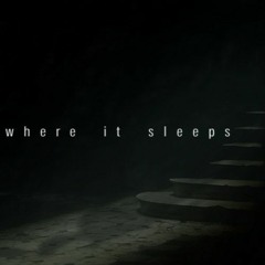Where It Sleeps
