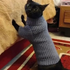 Tito!