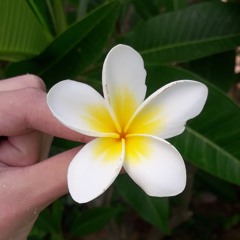 mawada_adel