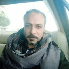 العمده الخولى