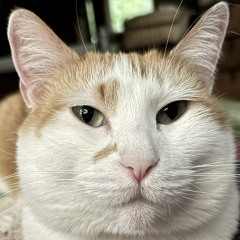 MioWnize