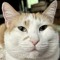 MioWnize