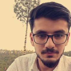 Raja Faizan