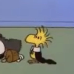 ポピー