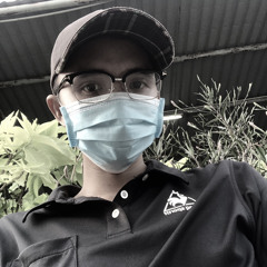 hồng sơn