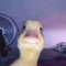 bmicallef17