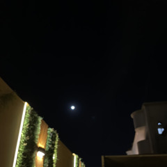 Bushra’s