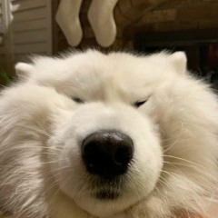 Sam