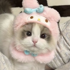 Meffi