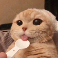 axy