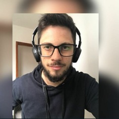 Luiz P Zanini