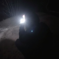 𝔖𝔱𝔢𝔣𝔞𝔫𝔫𝔱𝔰