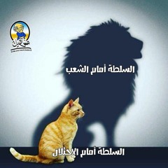 zaid