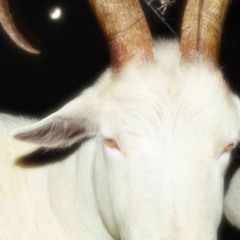 willanova