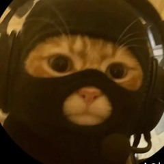 Chadxtaylor