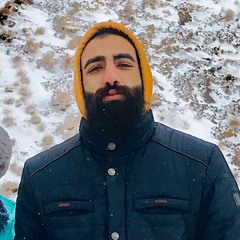 Peyman paliz