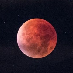 Rec Funky Eli Gas 44 24 1