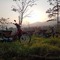 Rizal Farlan