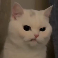 VH