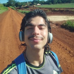 Vinícius Fogaça