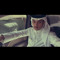 بدر مبارك
