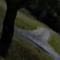 Thepfpisreal_222