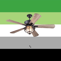 CeilingFanRadio