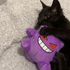 whosmarty