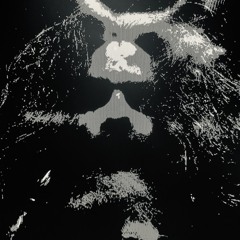 HXZXRD
