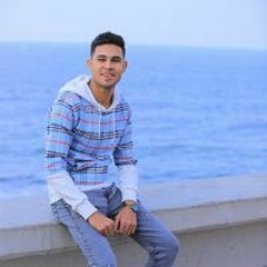 Ali Zayed