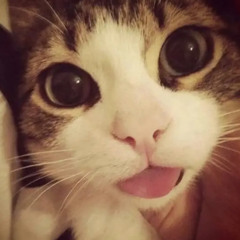 ‎