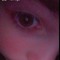 WHOSJAX