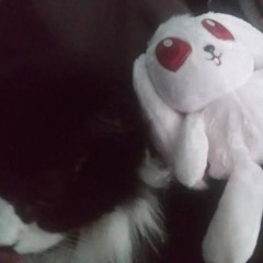 tyy ,,,, binnekort terug<3