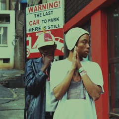LeoE$cobarr