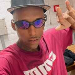 Beija flor 013