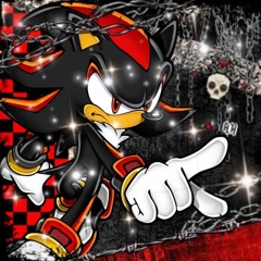 c4rp3t_squ4r3