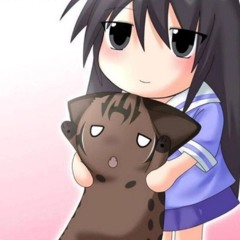 videocat